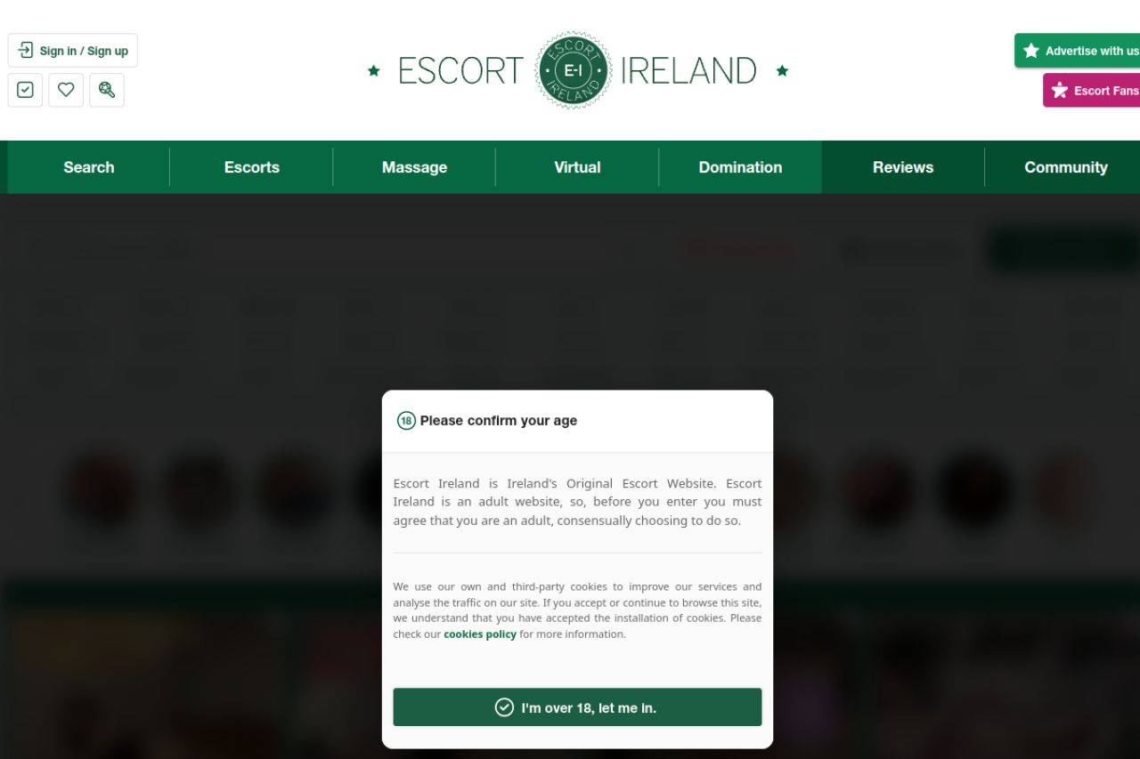 Screenshot of Escort ireland