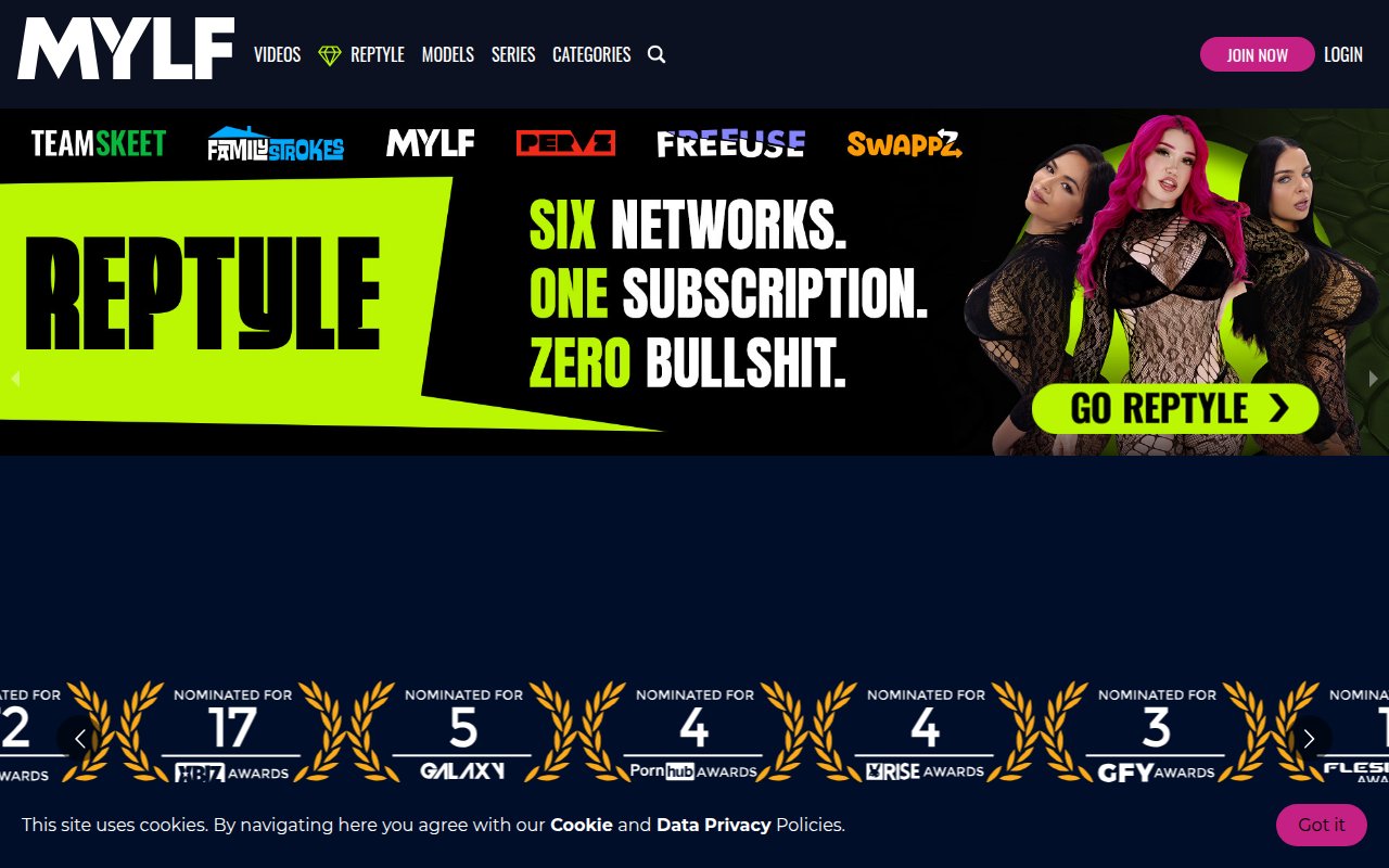 Screenshot of Naughtyblog