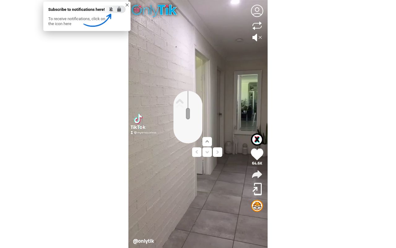 Screenshot of Onlytik