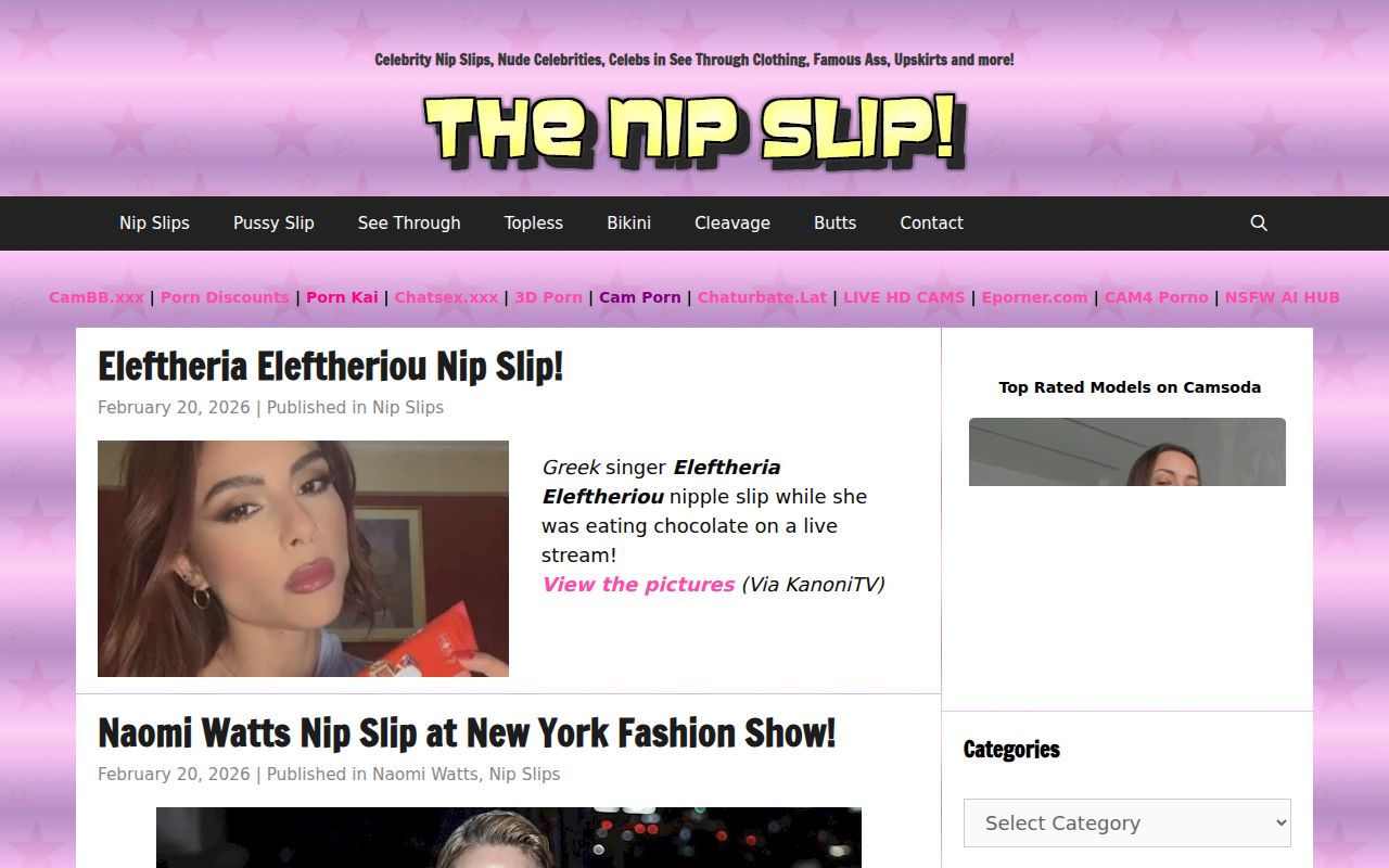Screenshot of Thenipslip