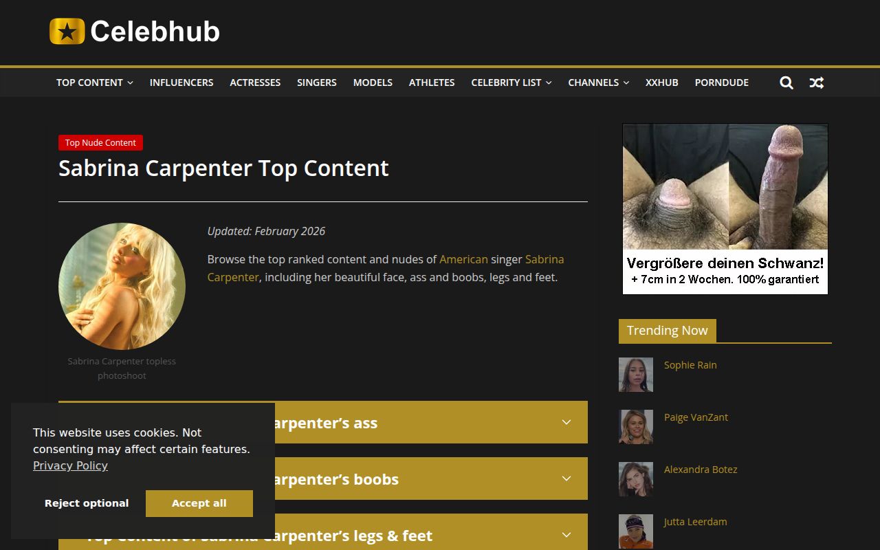 Screenshot of Celebhub