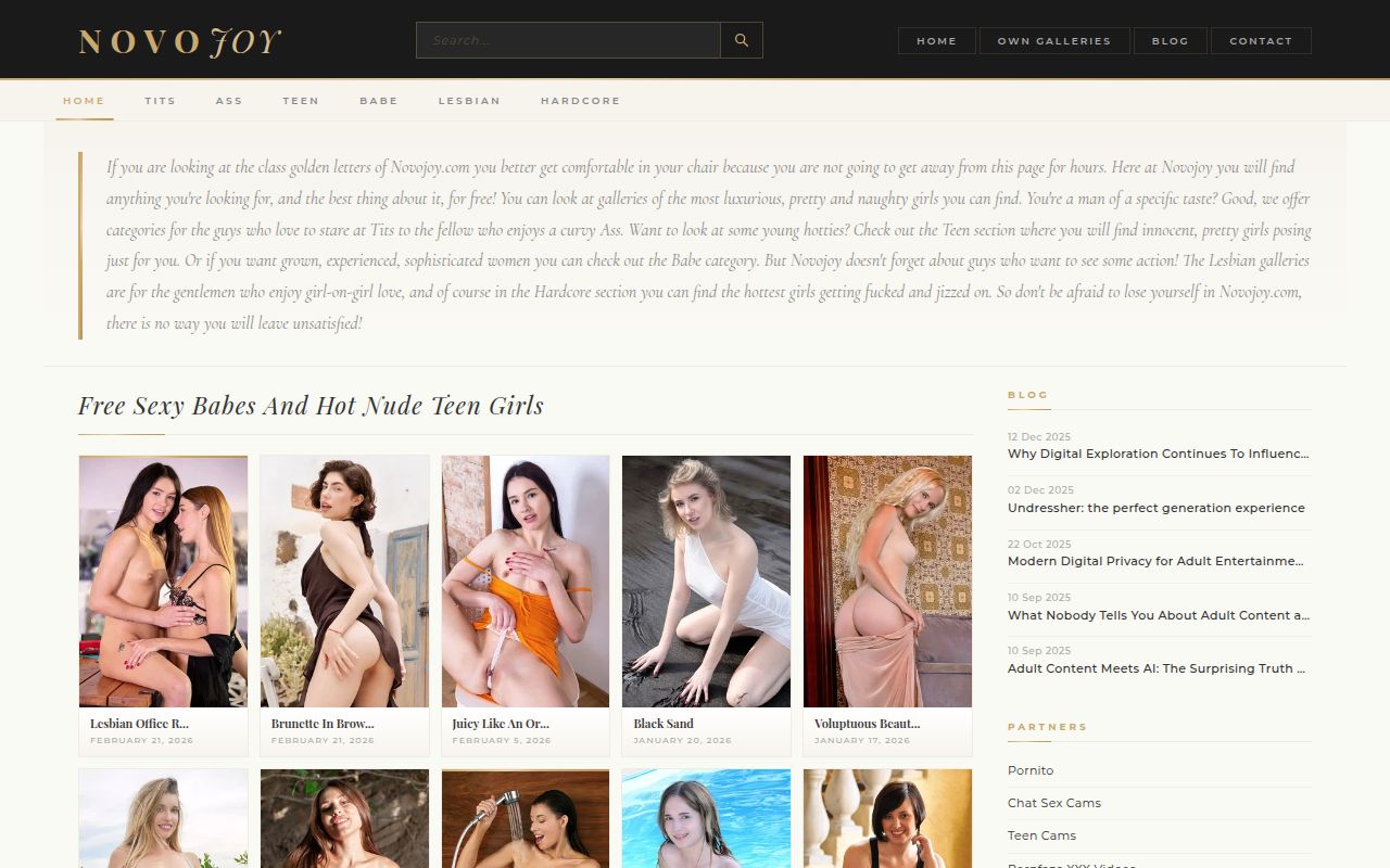 Screenshot of Novojoy