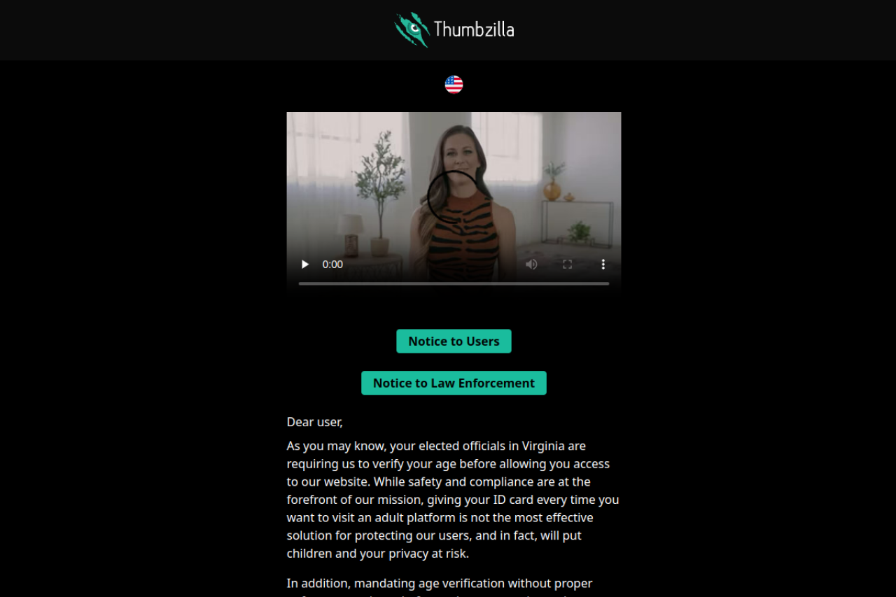 Screenshot of Thumbzilla